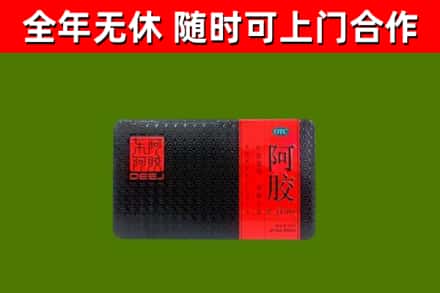 普定烟酒回收阿胶.jpg